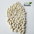 Dry Fava Beans and kidney Sale, Bean Harvester